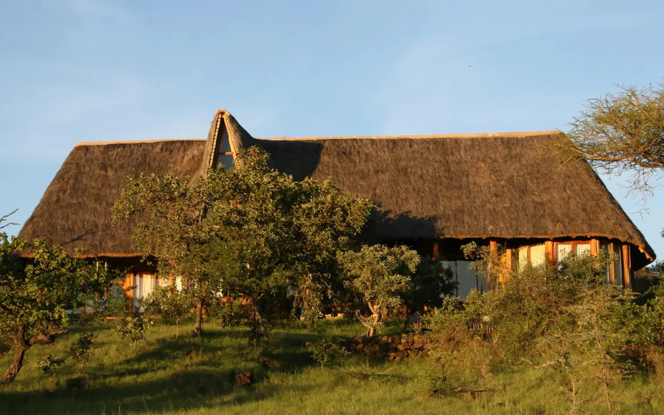 Thatched-roof lodge building surrounded by acacia trees at golden hour, Campi ya Kanzi, Amboseli and Chyulu Hills, Kenya