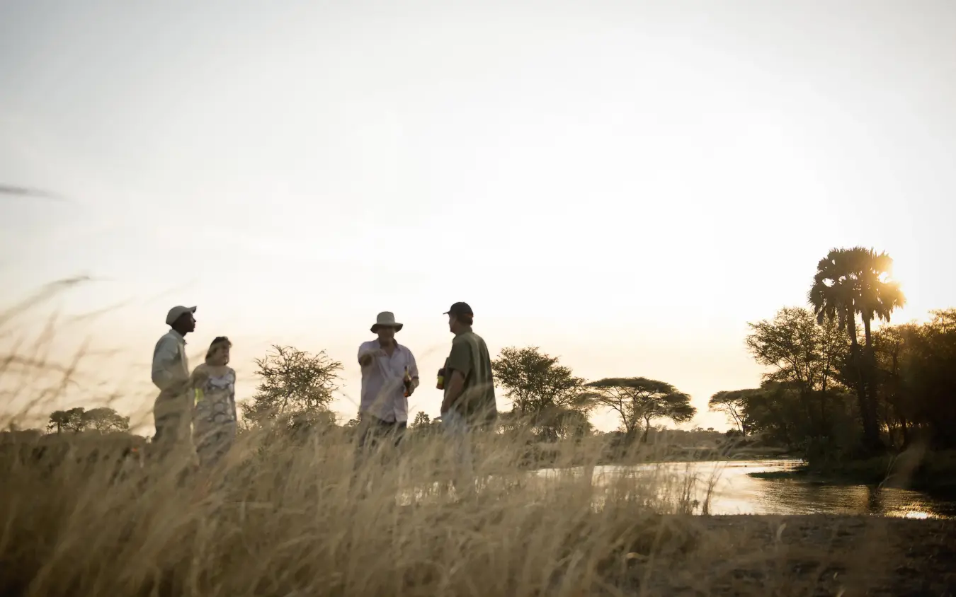 Guides walking with guests through golden grassland at sunset, Chada Camp, Katavi National Park, Tanzania