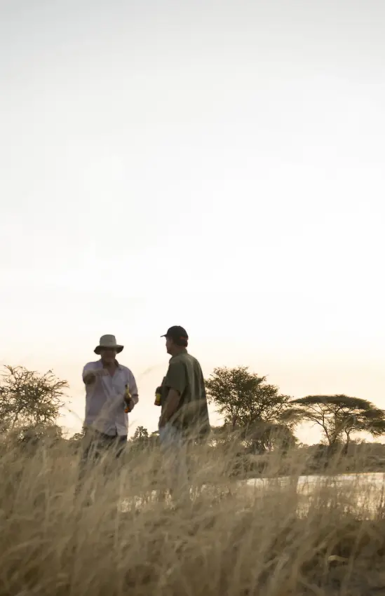 Guides walking with guests through golden grassland at sunset, Katavi National Park, Tanzania