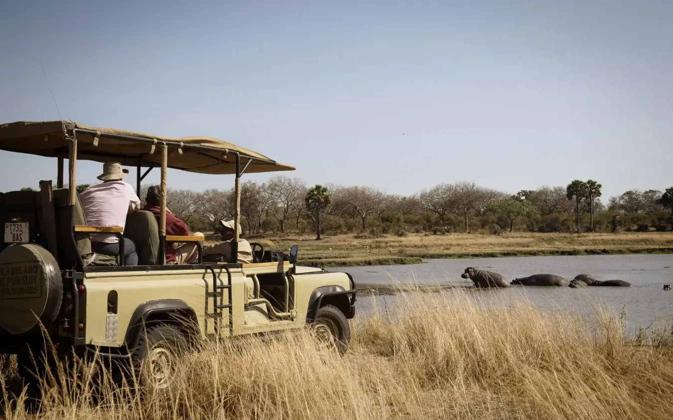 Safari vehicle observing hippopotamuses in river during game drive, Chada Camp, Katavi National Park, Tanzania