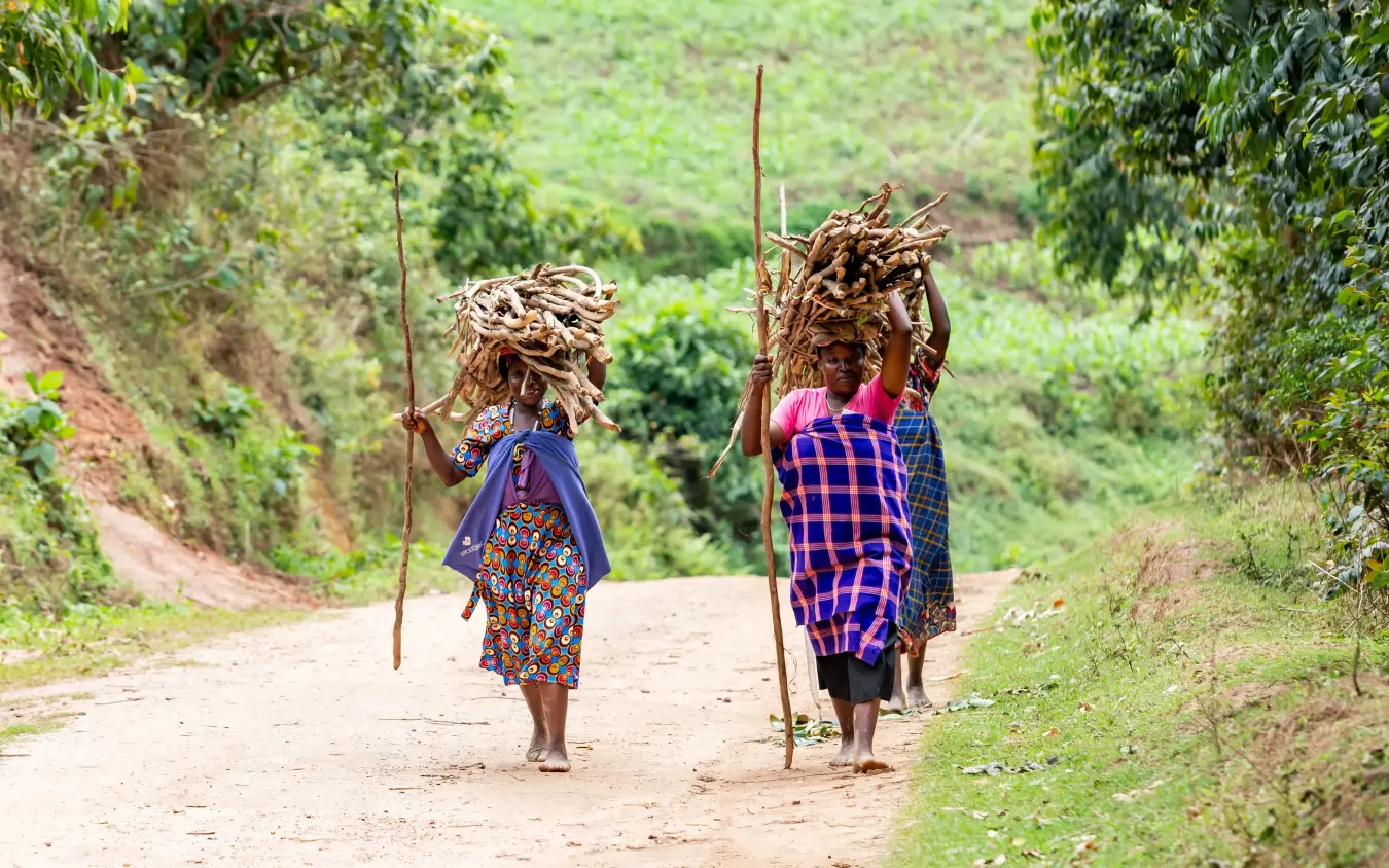 Two people carrying firewood bundles on rural path, Chameleon Hill Lodge, Lake Mutanda, Uganda