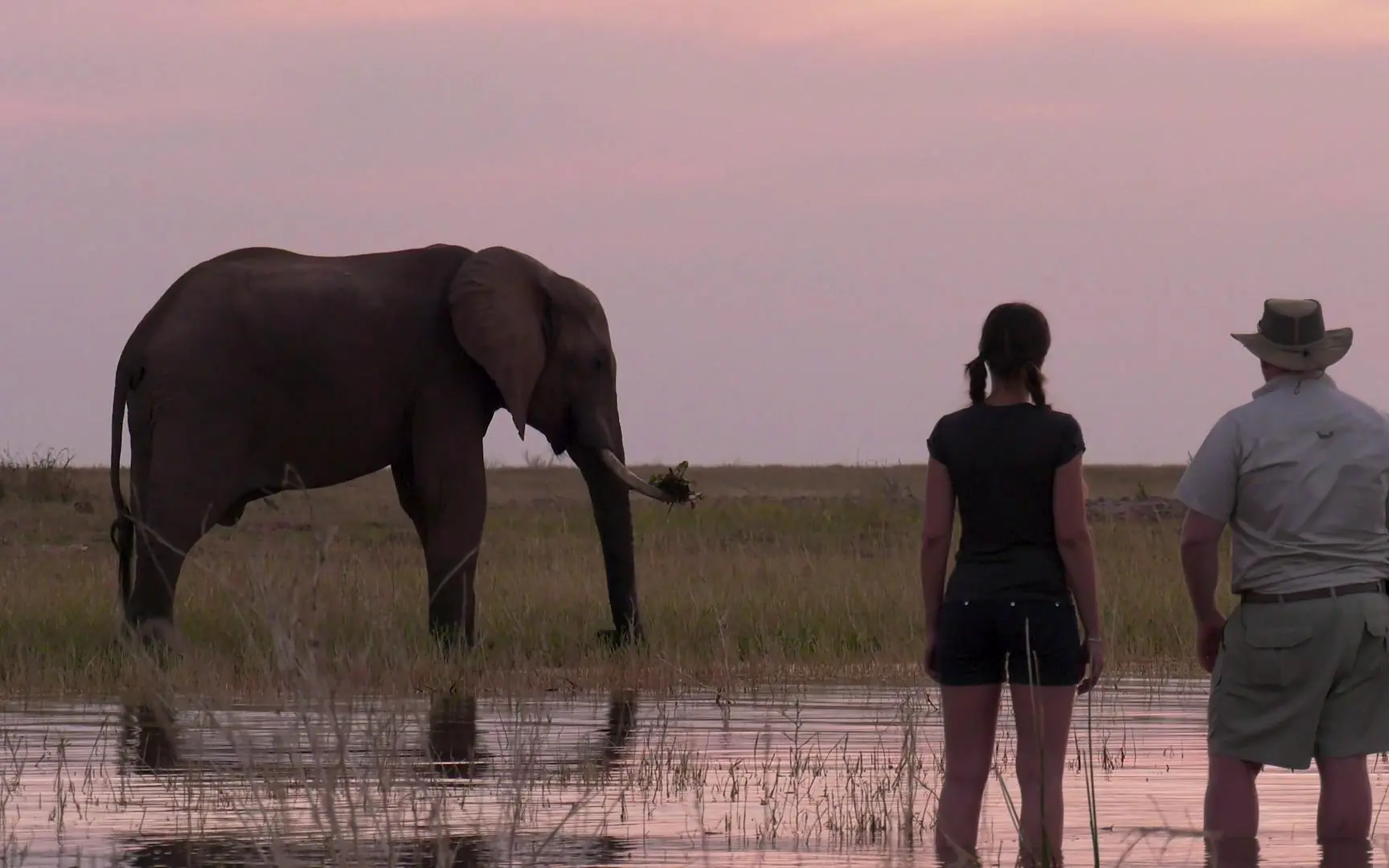 Guides and guest viewing elephant at waterhole at dusk, Matusadona, Zimbabwe