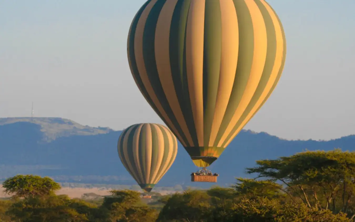 Hot air balloons floating over African savanna landscape, Chem Chem Lodge, Lake Manyara, Tanzania