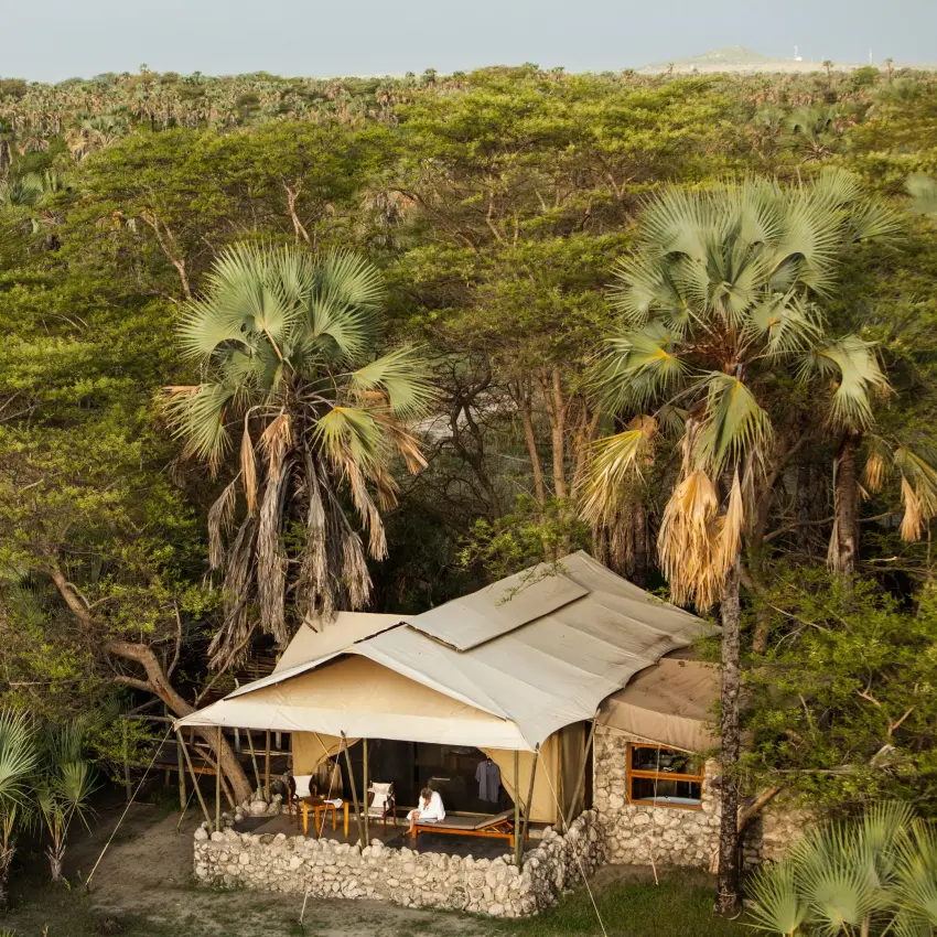 Safari lodge tent with canvas roof among palm trees, Chem Chem Lodge, Lake Manyara, Tanzania