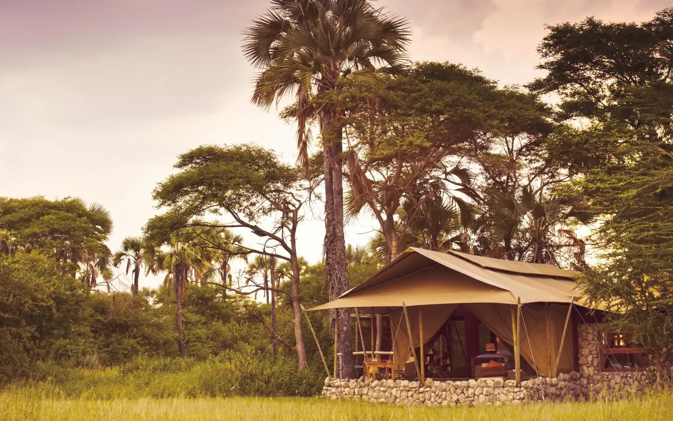 Canvas safari tent nestled among tall palm and acacia trees, Chem Chem Lodge, Lake Manyara, Tanzania