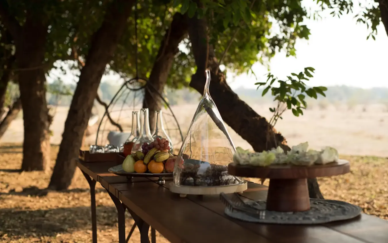 Outdoor dining setup under large trees with food and drinks, Chikwenya Camp, Mana Pools, Zimbabwe