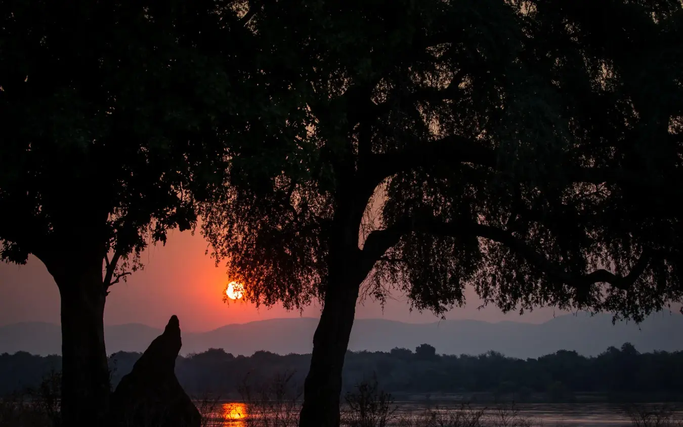 Sunset silhouette over river with trees and wildlife, Chikwenya Camp, Mana Pools, Zimbabwe