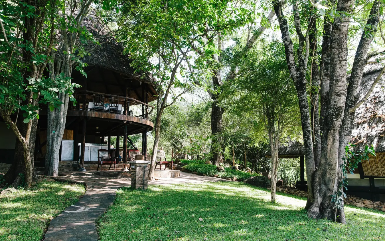 Elevated lodge building nestled among tall trees with manicured lawn, Chilo Gorge Safari Lodge, Gonarezhou & Malilangwe, Zimbabwe
