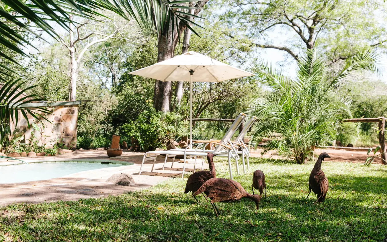 Pool area with loungers, umbrella, and wildlife grazing nearby, Chilo Gorge Safari Lodge, Gonarezhou & Malilangwe, Zimbabwe