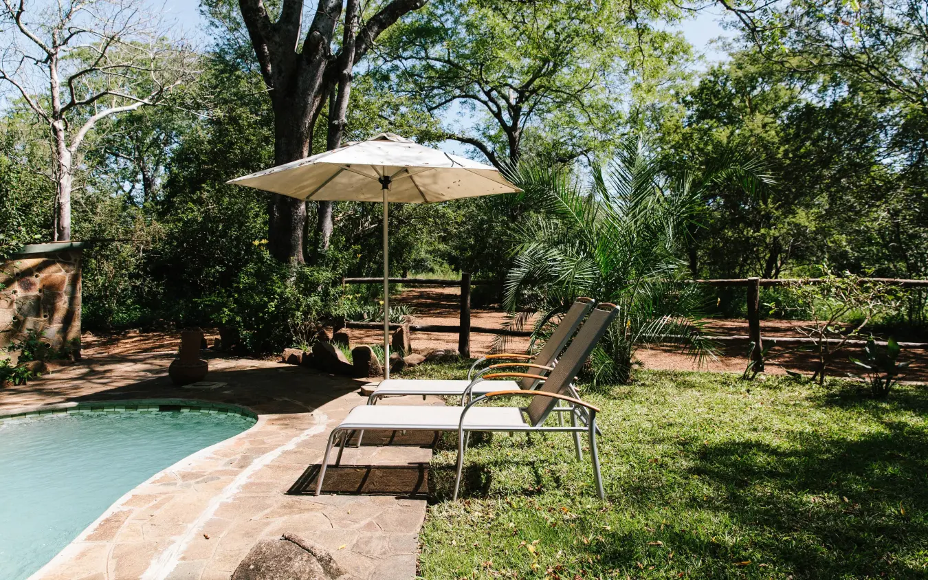 Resort pool with umbrella and lounge chair surrounded by trees, Chilo Gorge Safari Lodge, Gonarezhou & Malilangwe, Zimbabwe