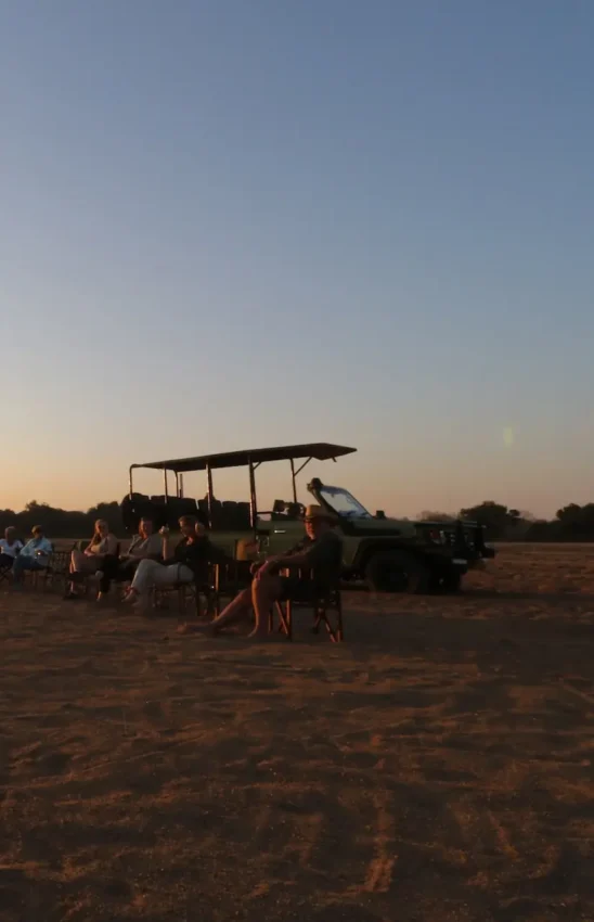 Open-sided safari vehicle with guests at sunset in dusty savanna landscape, Gonarezhou & Malilangwe, Zimbabwe