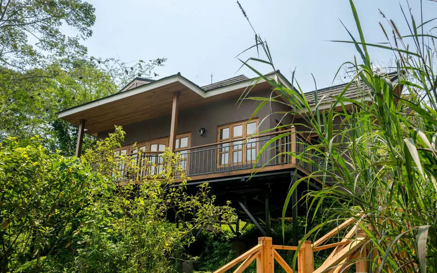 Elevated wooden lodge structure surrounded by lush green vegetation, Chimpundu Lodge, Kibale Forest, Uganda