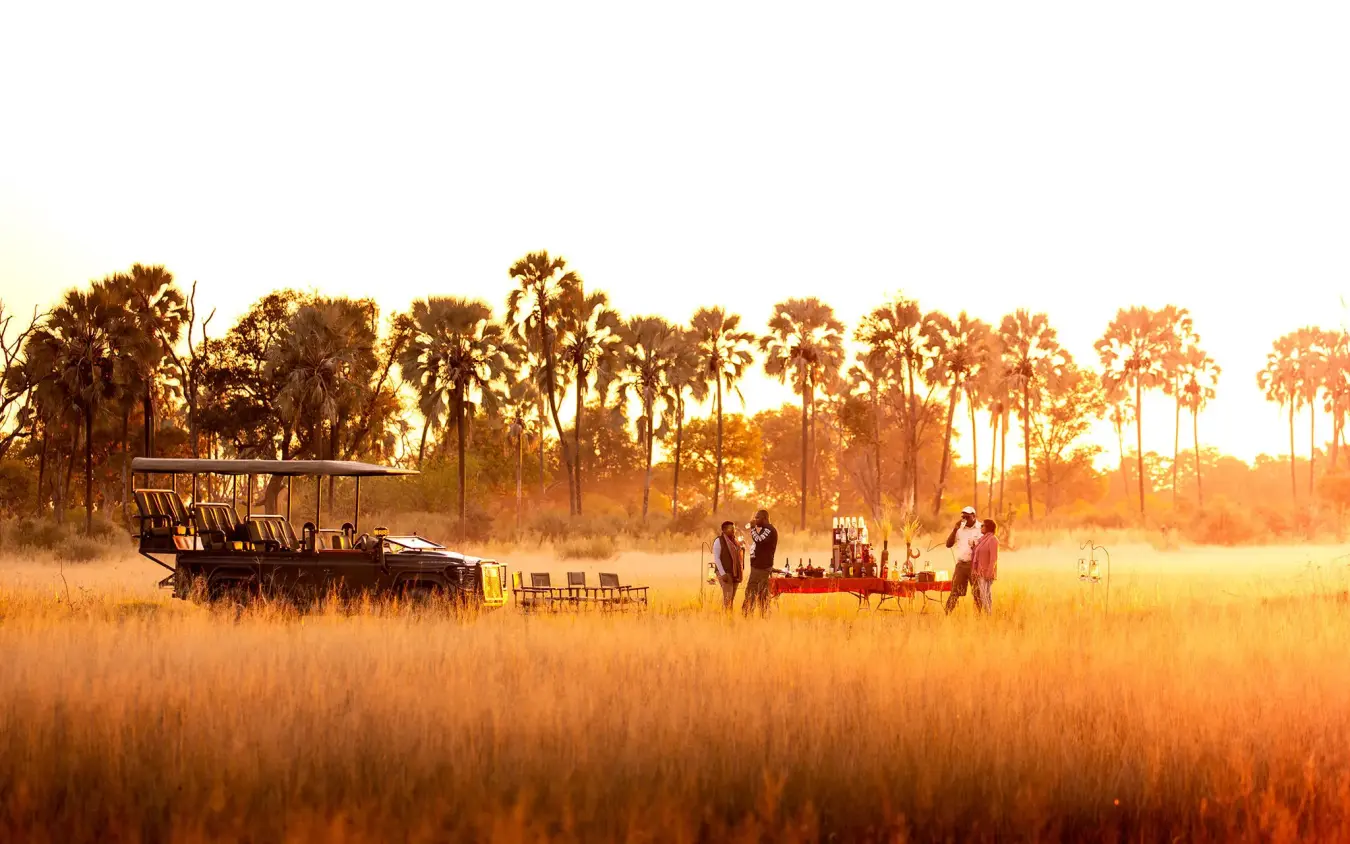 Guides and staff prepare meal service in golden savanna landscape, Chitabe Camp, The Okavango Delta, Botswana