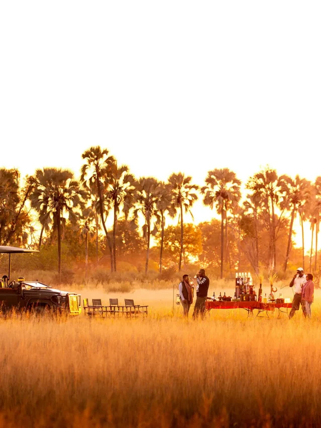 Guides and staff prepare meal service in golden savanna landscape, Chitabe Camp, The Okavango Delta, Botswana