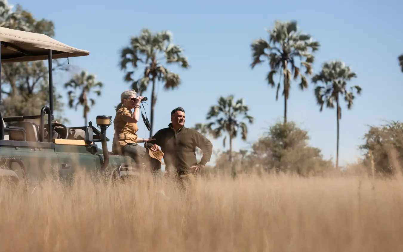 Guides on safari vehicle observing wildlife in golden grassland, Chitabe Camp, The Okavango Delta, Botswana