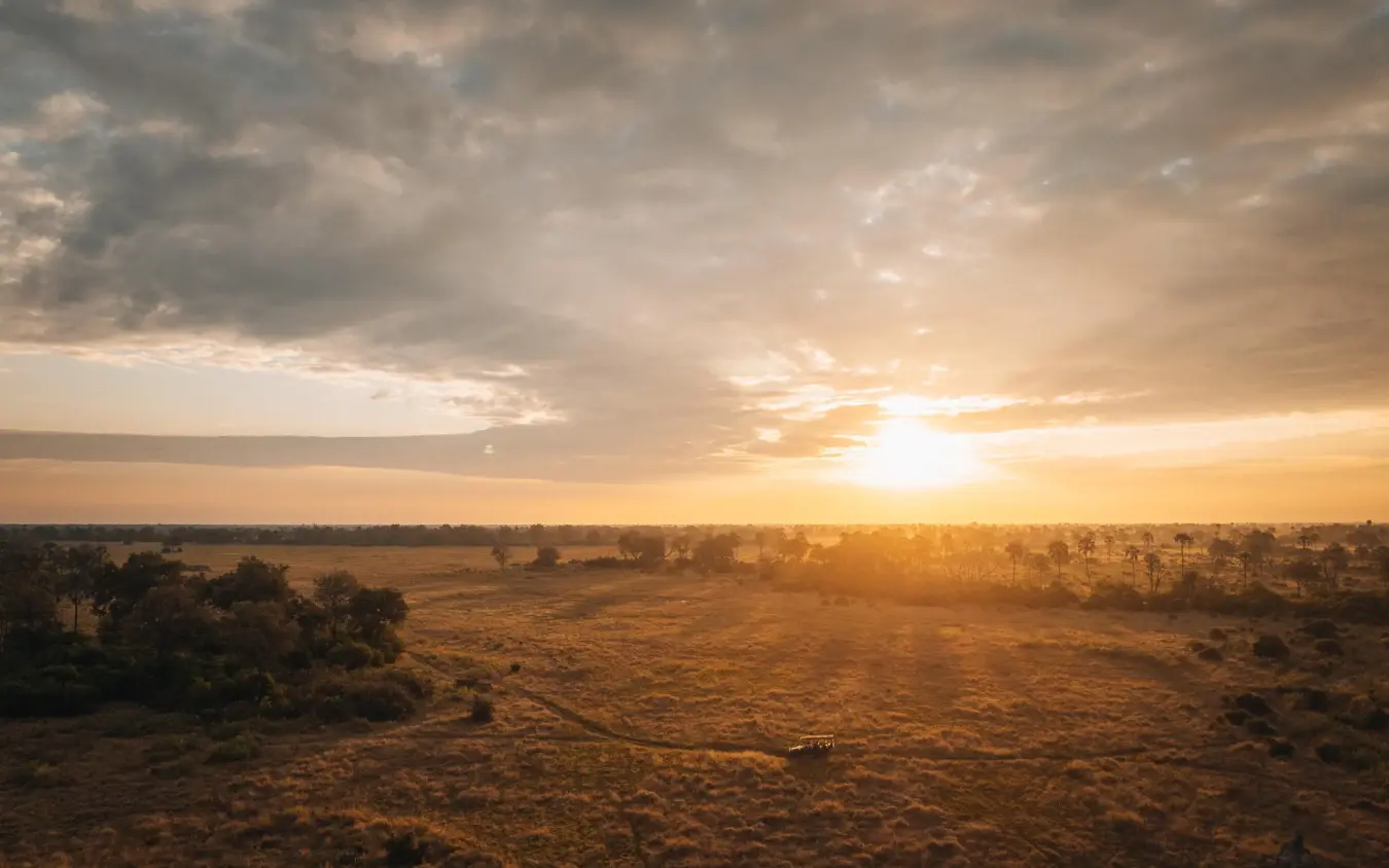 Golden sunset over vast savanna plains with scattered trees, Chitabe Camp, The Okavango Delta, Botswana