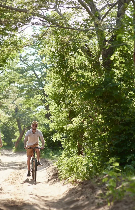 Cyclist riding on shaded woodland trail beneath leafy trees, Chobe Chilwero, Chobe, Botswana