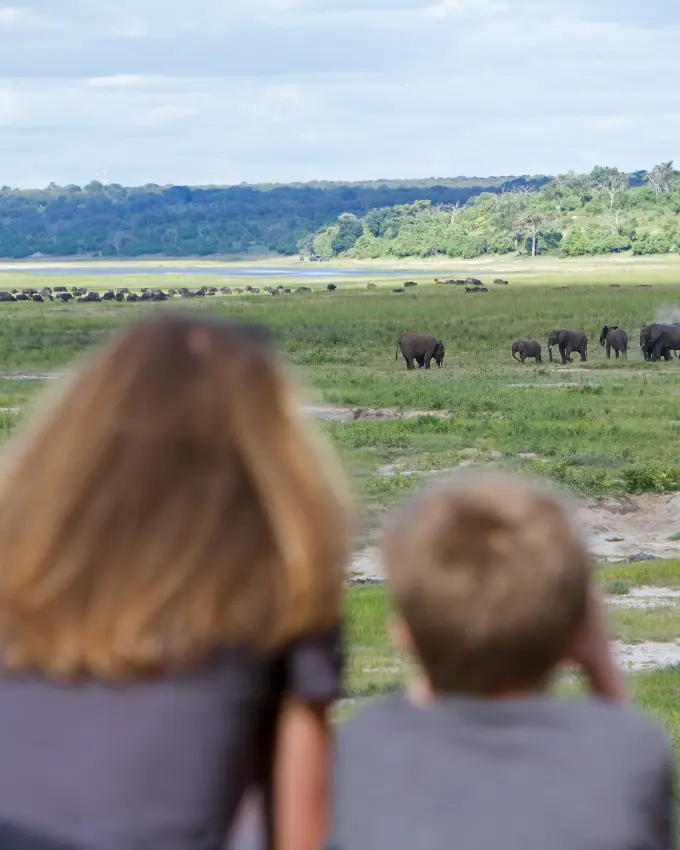 Family observing elephant herd in grassland clearing from riverbank, Chobe, Botswana