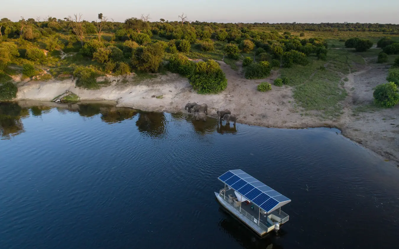 Solar-powered boat moored at riverbank with elephants drinking at waterhole, Chobe Game Lodge, Chobe, Botswana