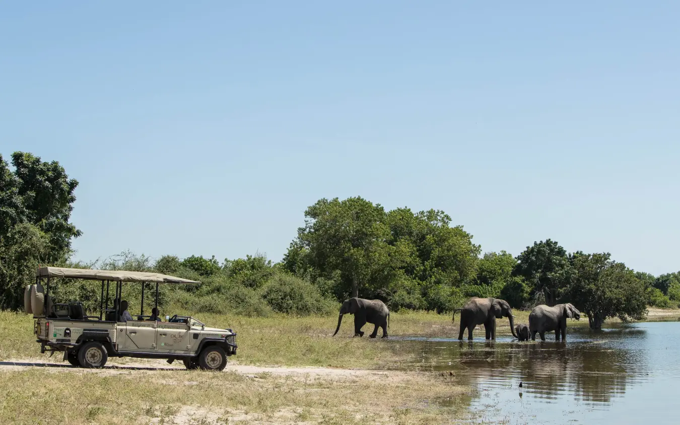 Safari vehicle watching elephant herd drinking at waterhole, Chobe Game Lodge, Chobe, Botswana