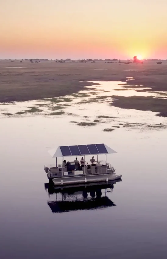 Solar-powered boat with guests on water at sunrise over wetland, Chobe Game Lodge, Chobe, Botswana