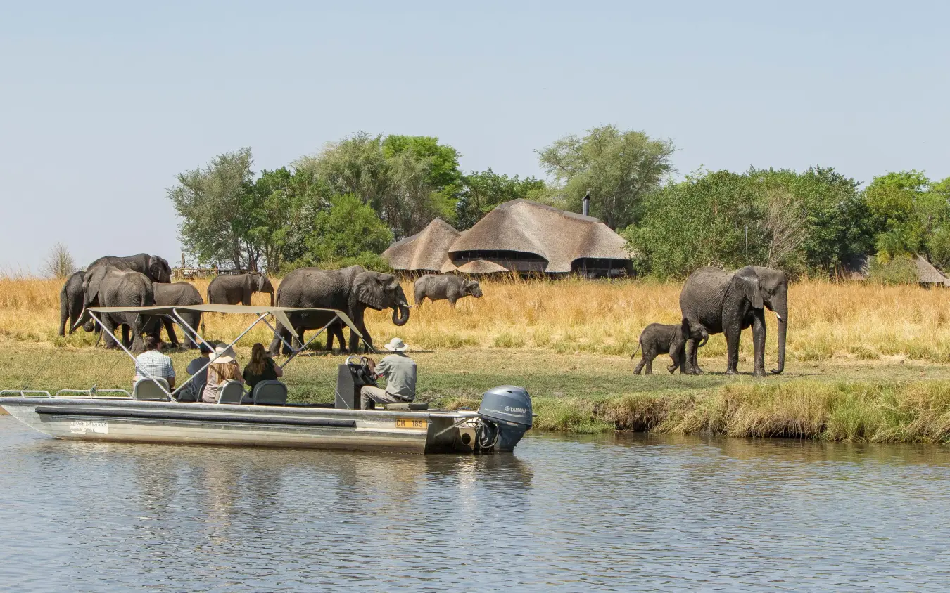 Guests in motorboat viewing elephant herd at waterhole, Chobe Savanna Lodge, Zambezi Region, Namibia