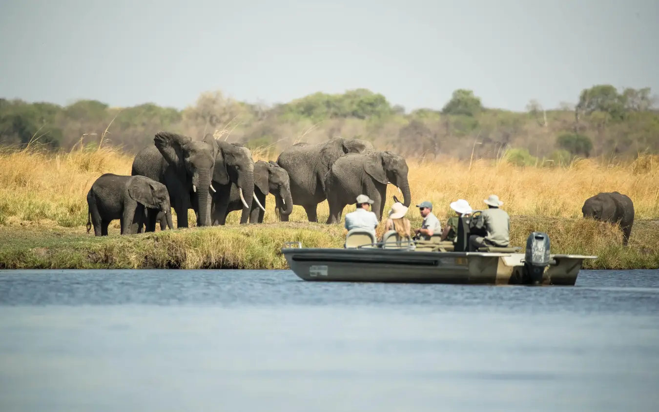 Guests observe elephant herd from boat on river, Chobe Savanna Lodge, Zambezi Region, Namibia