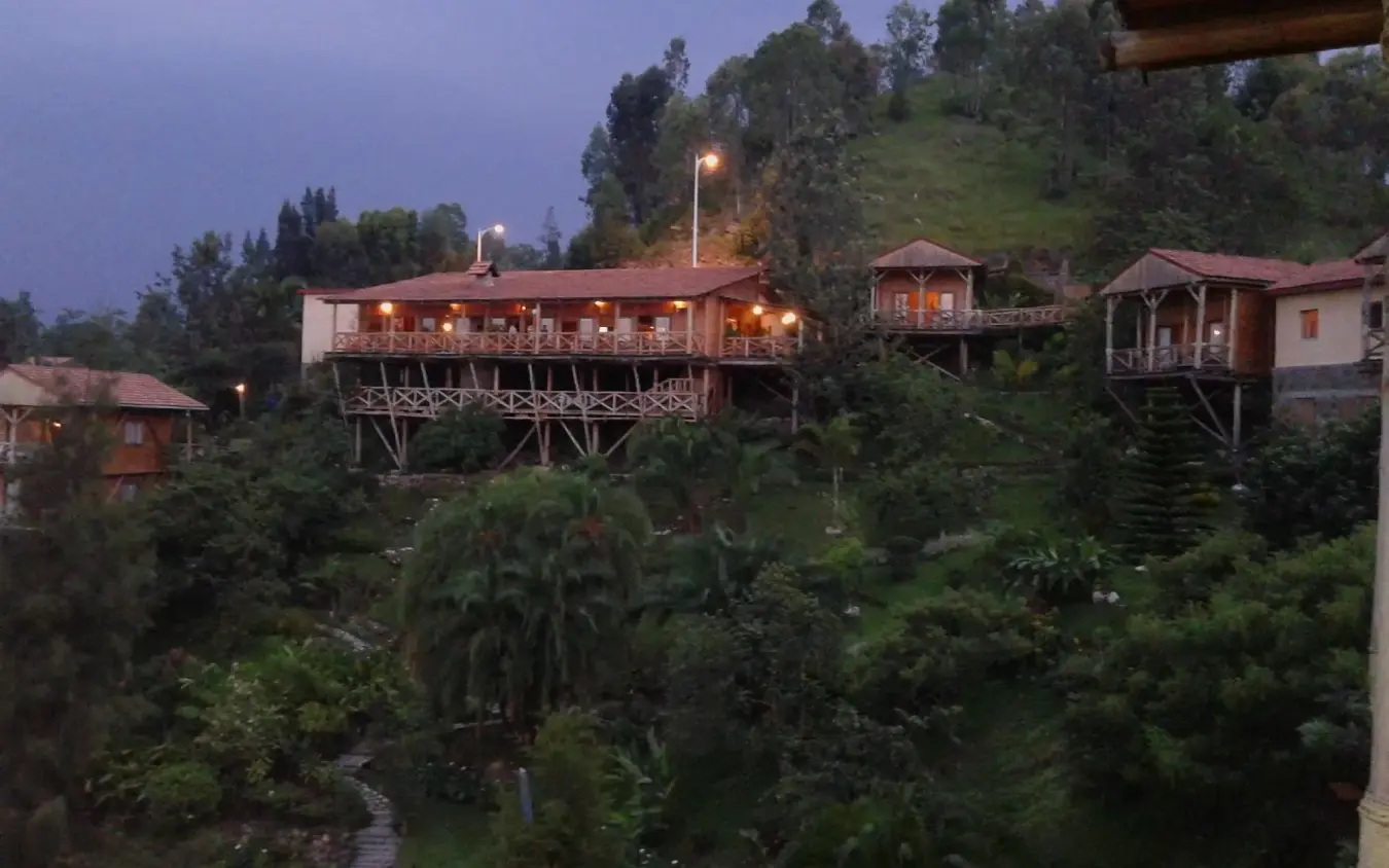Elevated lodge structures illuminated at dusk among dense tropical forest, Cormoran Lodge, Lake Kivu, Rwanda