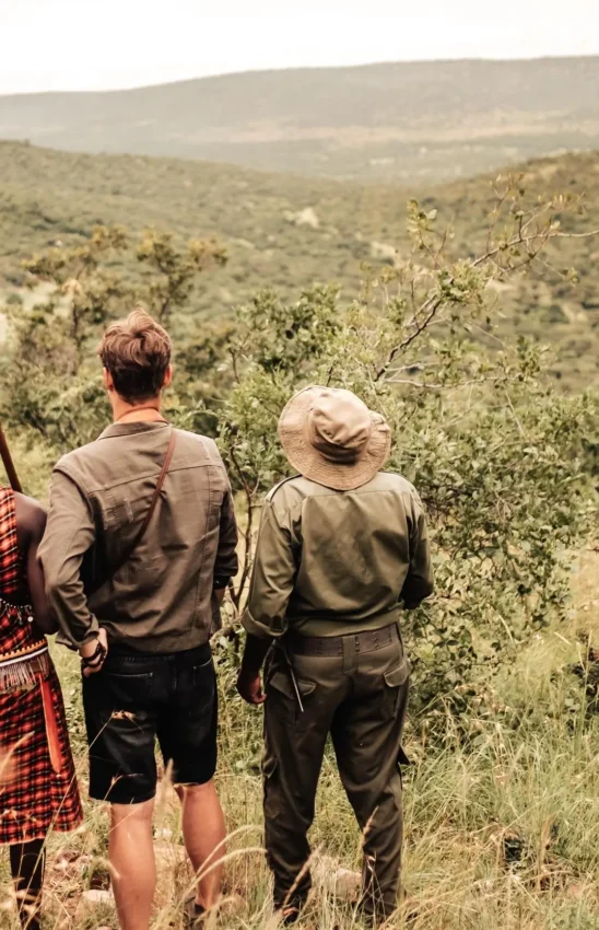 Guides leading guests on walking safari through African savanna, Cottar’s 1920s Camp, Maasai Mara, Kenya