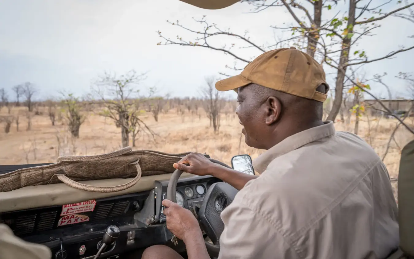 Guide steering open safari vehicle through dry bushland landscape, Daka Plains Camp, Hwange National Park, Zimbabwe