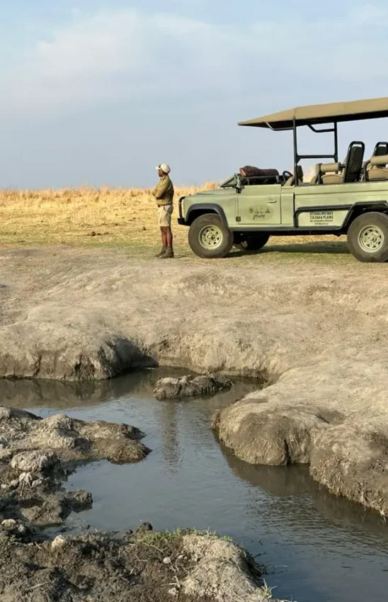 Safari guide pointing out wildlife at waterhole near game drive vehicle, Daka Plains Camp, Hwange National Park, Zimbabwe