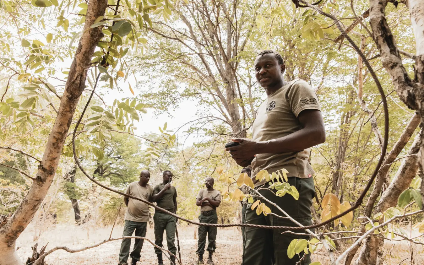 Forest ranger group conducting wildlife conservation patrol in woodland, Davison’s Camp, Hwange National Park, Zimbabwe