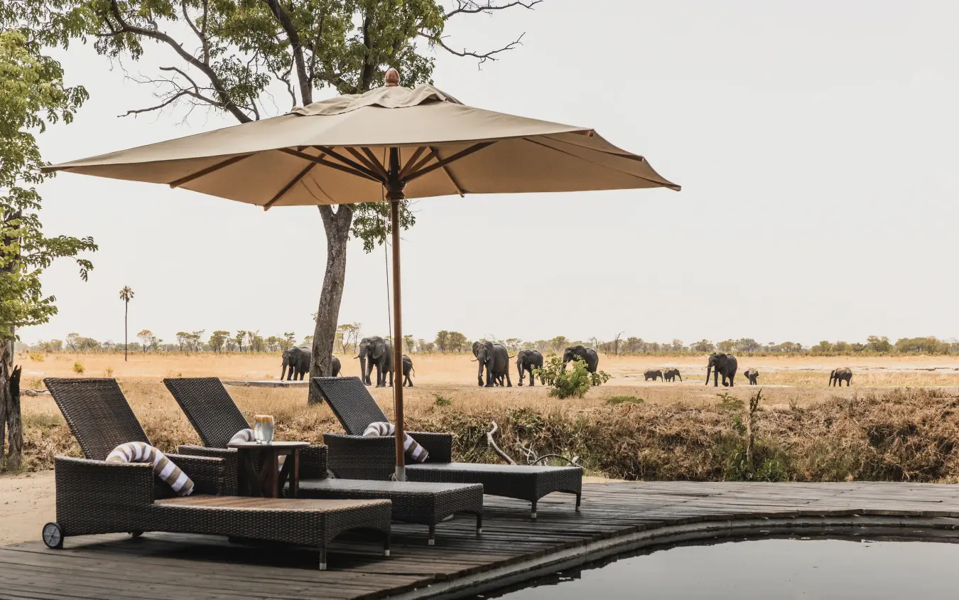 Lounge chairs beneath umbrella overlooking waterhole with elephant herd, Davison’s Camp, Hwange National Park, Zimbabwe