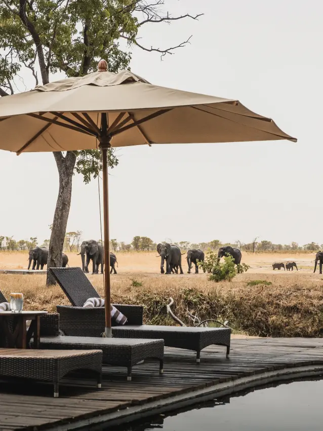 Lounge chairs beneath umbrella overlooking waterhole with elephant herd, Davison’s Camp, Hwange National Park, Zimbabwe