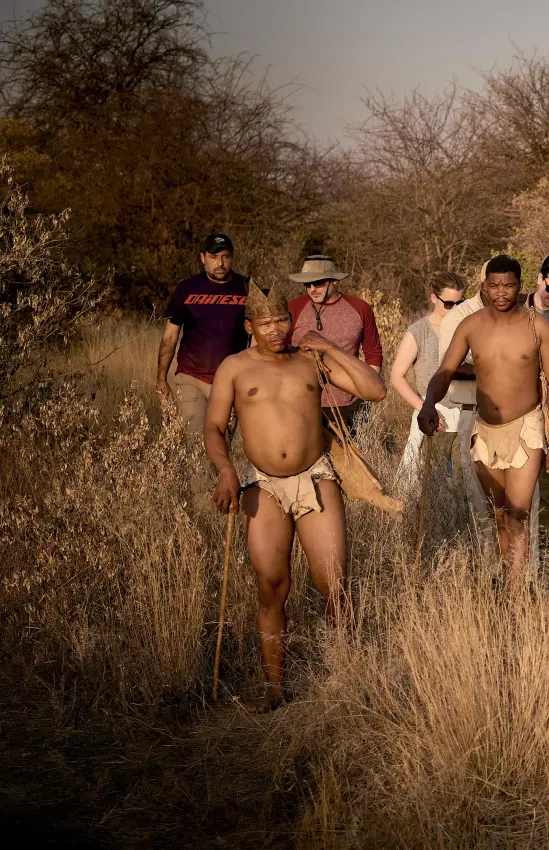 Group of guests walking through dry savanna grassland, Deception Valley Lodge, Central Kalahari, Botswana