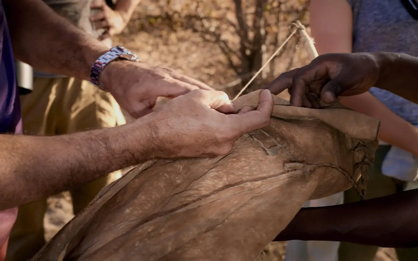 Guides examining animal tracks and spoor in sand, Deception Valley Lodge, Central Kalahari, Botswana