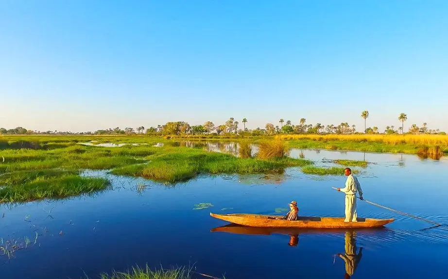 Mokoro poling through waterways with guide and passenger, Delta Camp, The Okavango Delta, Botswana