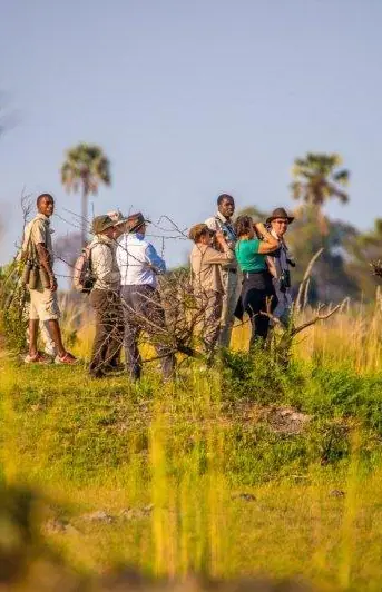 Guests walking through tall grass on guided safari walk, Delta Camp, The Okavango Delta, Botswana