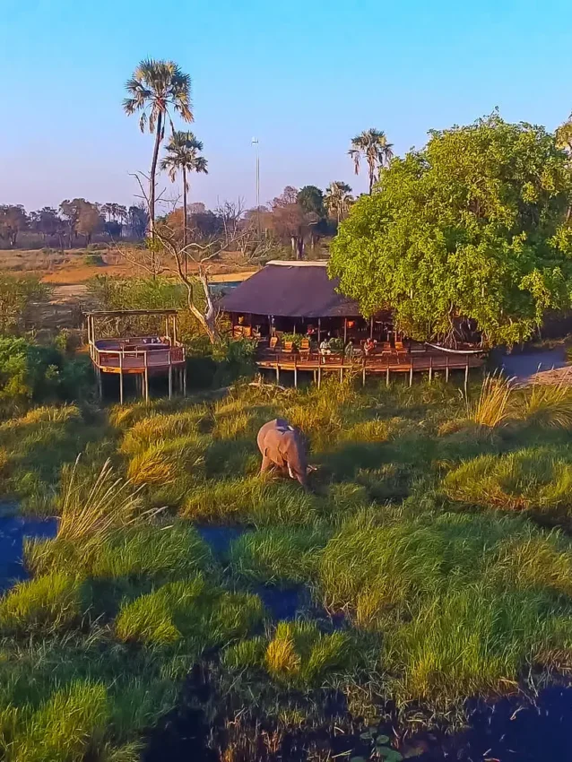 Aerial view of safari camp with waterways and vegetation, Delta Camp, The Okavango Delta, Botswana