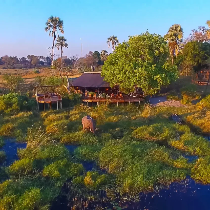 Aerial view of safari camp with waterways and vegetation, Delta Camp, The Okavango Delta, Botswana