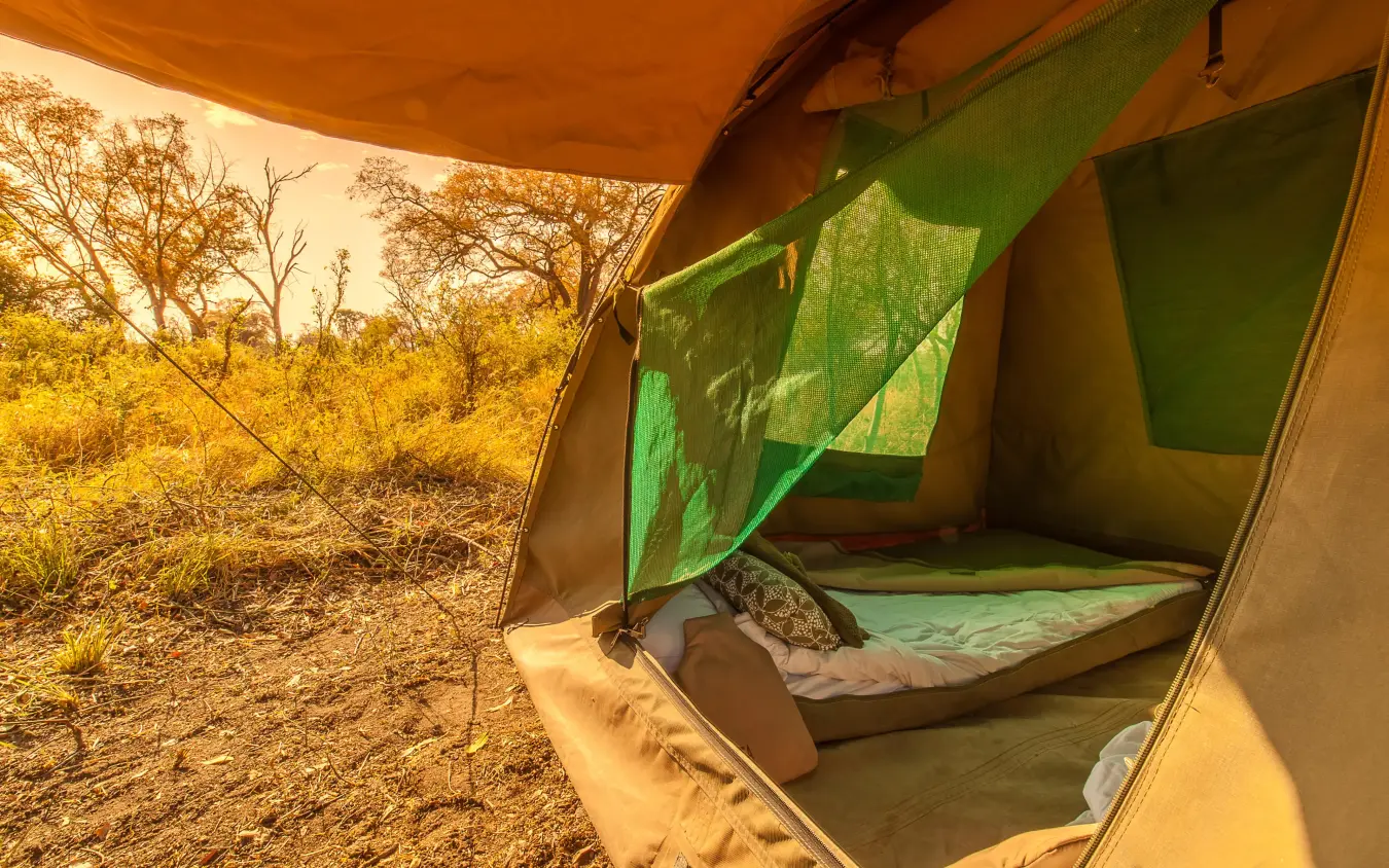 Interior view of safari tent with green mosquito netting, Delta Camp, The Okavango Delta, Botswana