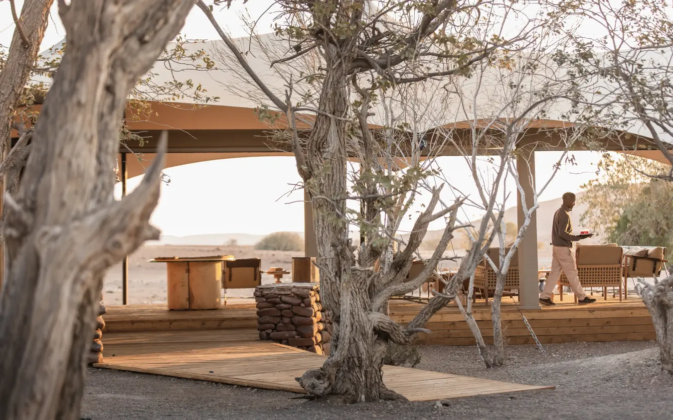 Rustic lodge courtyard with bare trees and desert landscape views, Desert Rhino Camp, Damaraland, Namibia
