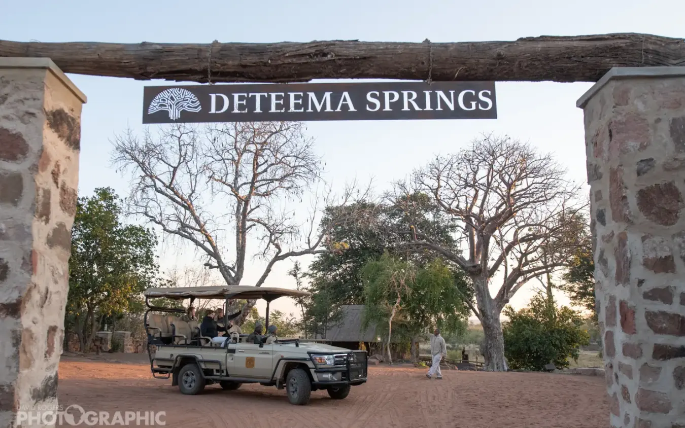 Safari vehicle parked beneath stone gateway entrance at dusk, Deteema Springs Camp, Hwange National Park, Zimbabwe