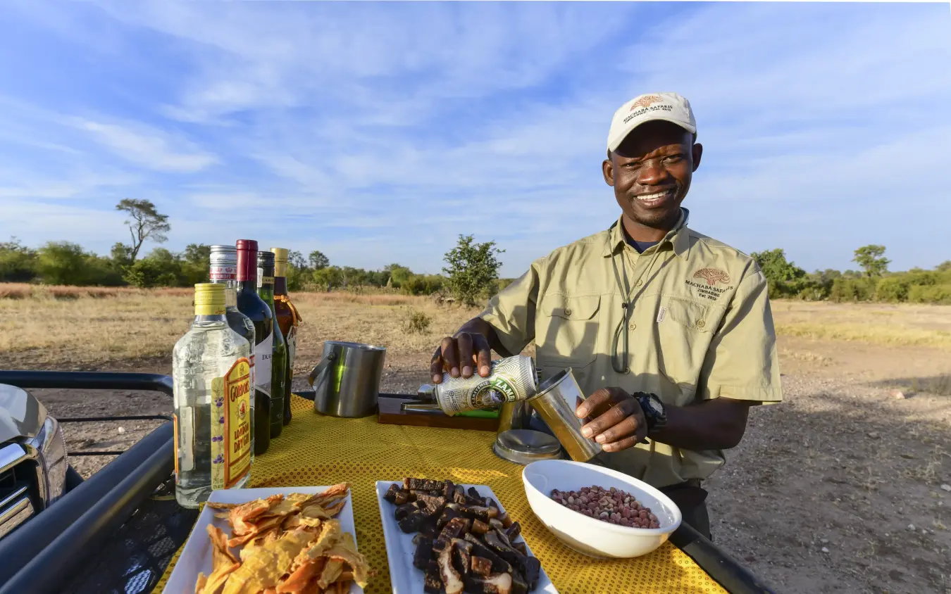Guide serving lunch on vehicle in savanna landscape, Deteema Springs Camp, Hwange National Park, Zimbabwe
