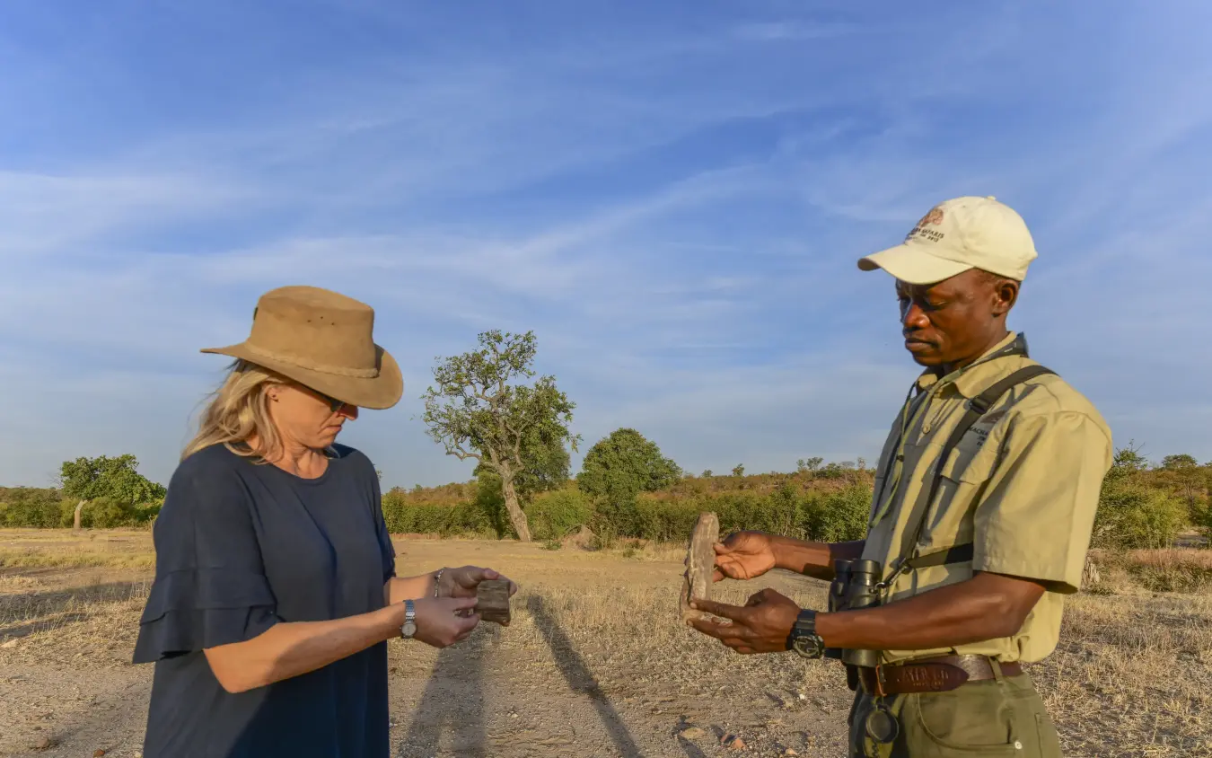 Guide and guest examining rock sample on dirt road in bushland, Deteema Springs Camp, Hwange National Park, Zimbabwe