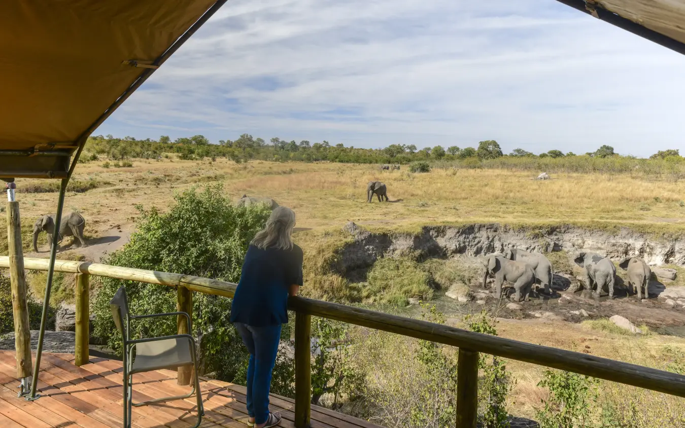 Guests viewing elephants at waterhole from safari lodge deck, Deteema Springs Camp, Hwange National Park, Zimbabwe