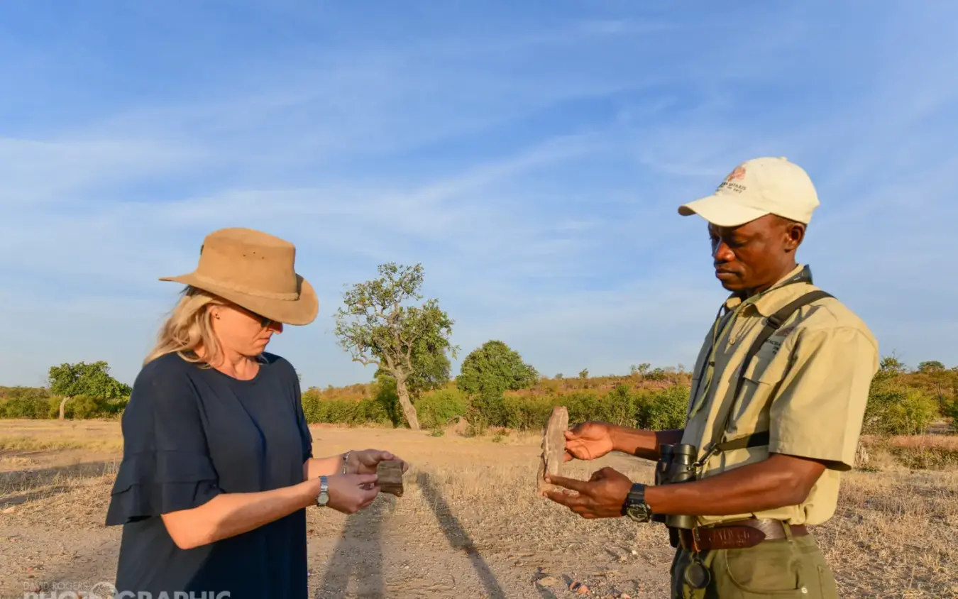 Guide and tourist examining artifacts on safari game drive, Deteema Springs Camp, Hwange National Park, Zimbabwe