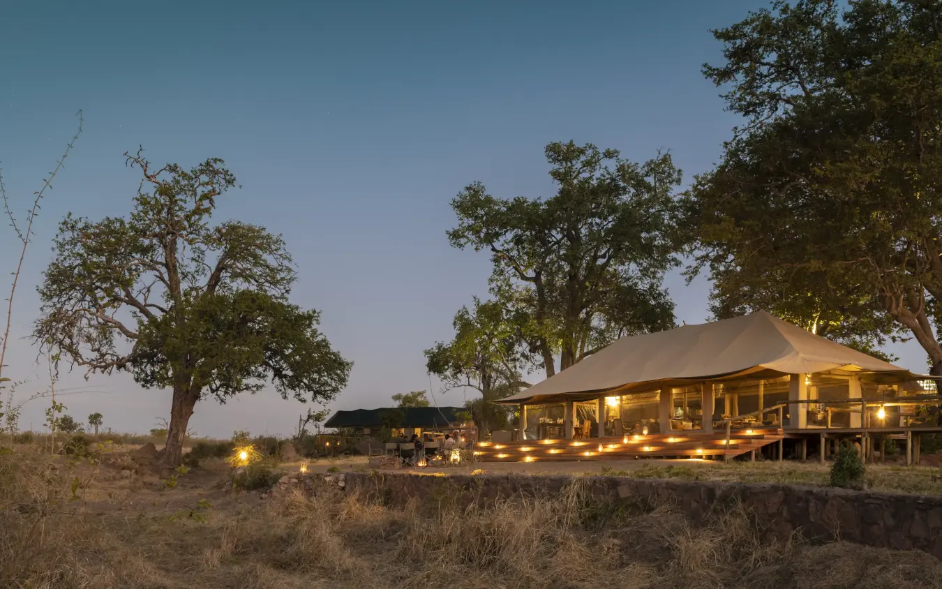 Illuminated safari lodge with canvas tent under acacia trees at dusk, Deteema Springs Camp, Hwange National Park, Zimbabwe