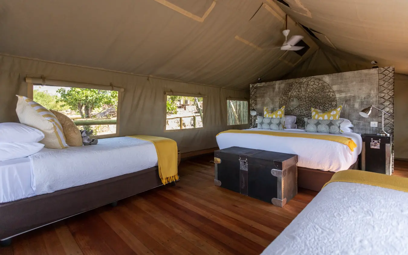 Safari lodge interior with multiple beds and canvas walls overlooking trees, Deteema Springs Camp, Hwange National Park, Zimbabwe