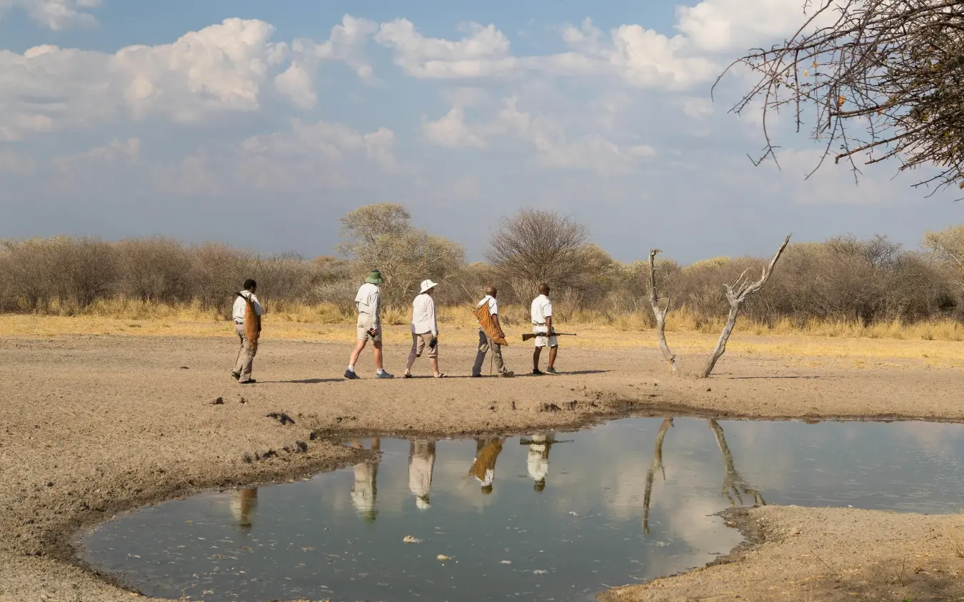 Walking safari group pausing at waterhole in savanna landscape, Dinaka, Central Kalahari, Botswana